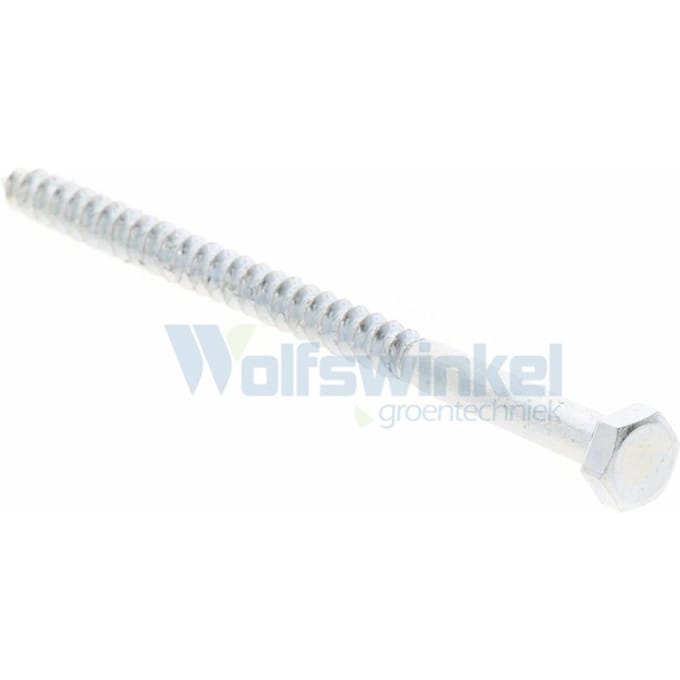 Hoenderdaal houtdraadbout gegalvaniseerd 6 x 100 mm din 571 - doos à 100 stuks
