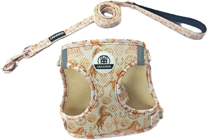 Cavlicious® AirMesh hondentuigje met leiband set - kleine hond - Texas - M