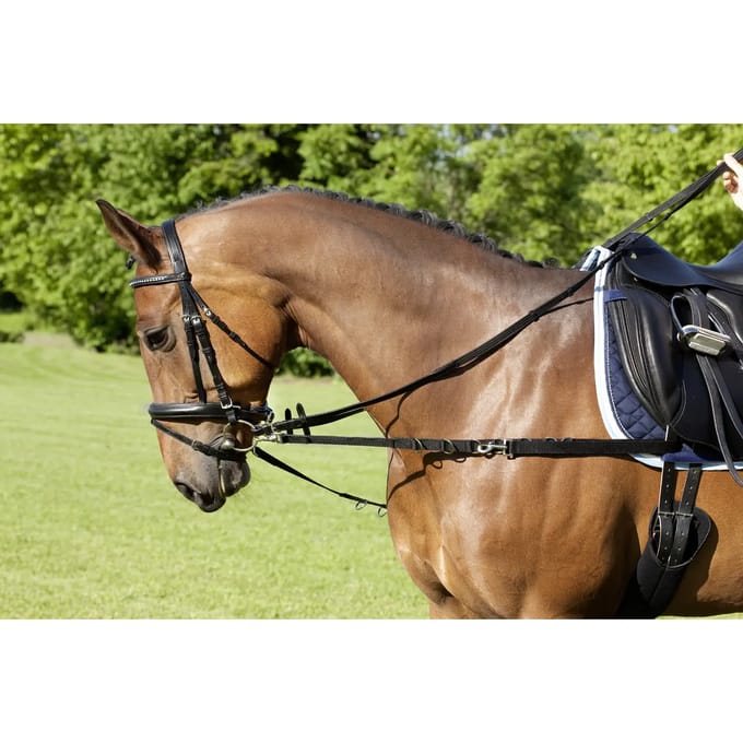 Zijkant nylon paardenteugels USG