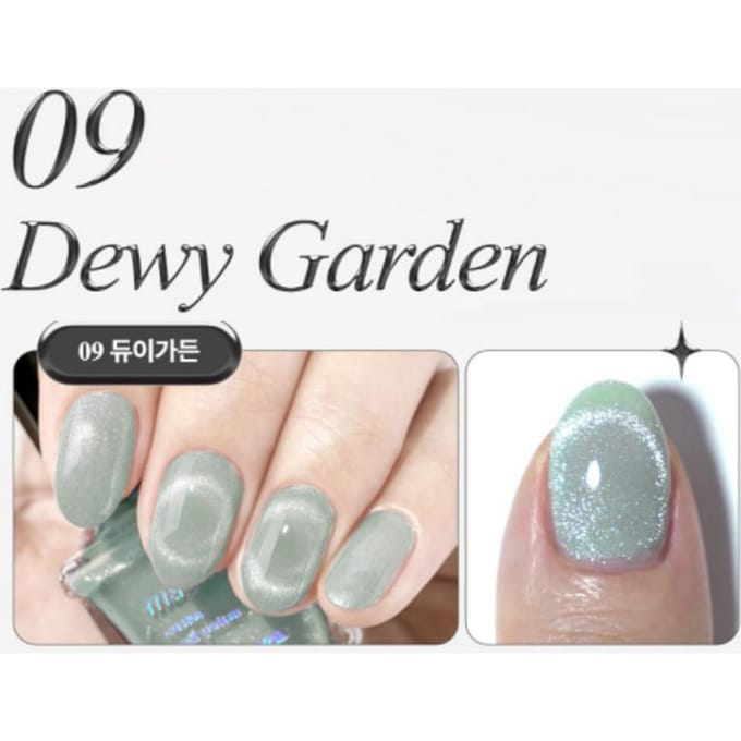 Withshan Custom Magnetische Nagellak 9ml (Optie 9) gray