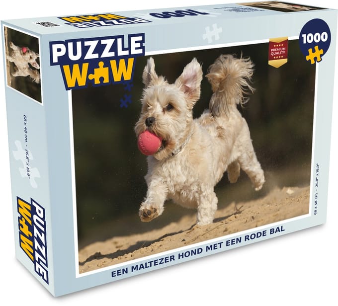 Puzzel Een Maltezer hond met een rode bal - Legpuzzel - Puzzel 1000 stukjes volwassenen