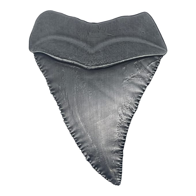 FaNaTtik Jaws Medallion 50th Anniversary Shark Tooth Decoration