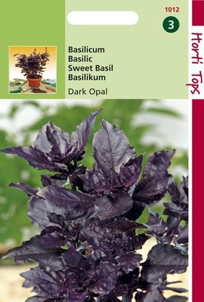 Hortitops Zaden - Basilicum Rode - Dark Opal
