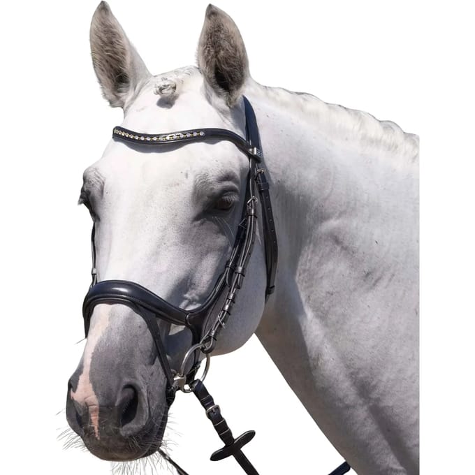Paardentuig Premier Equine Palazzo