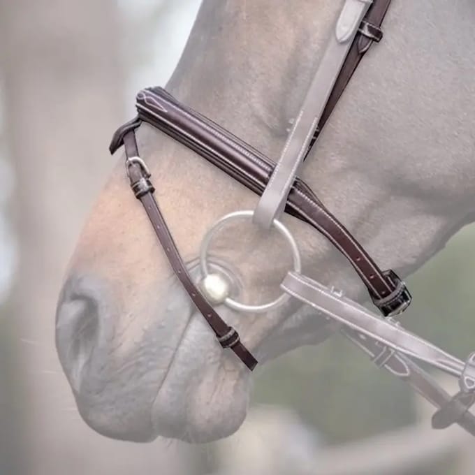 Combinatie paardenneusriem Jump'In Wednesday