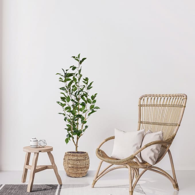 Ficus Exotica Kunstplant NT 100cm
