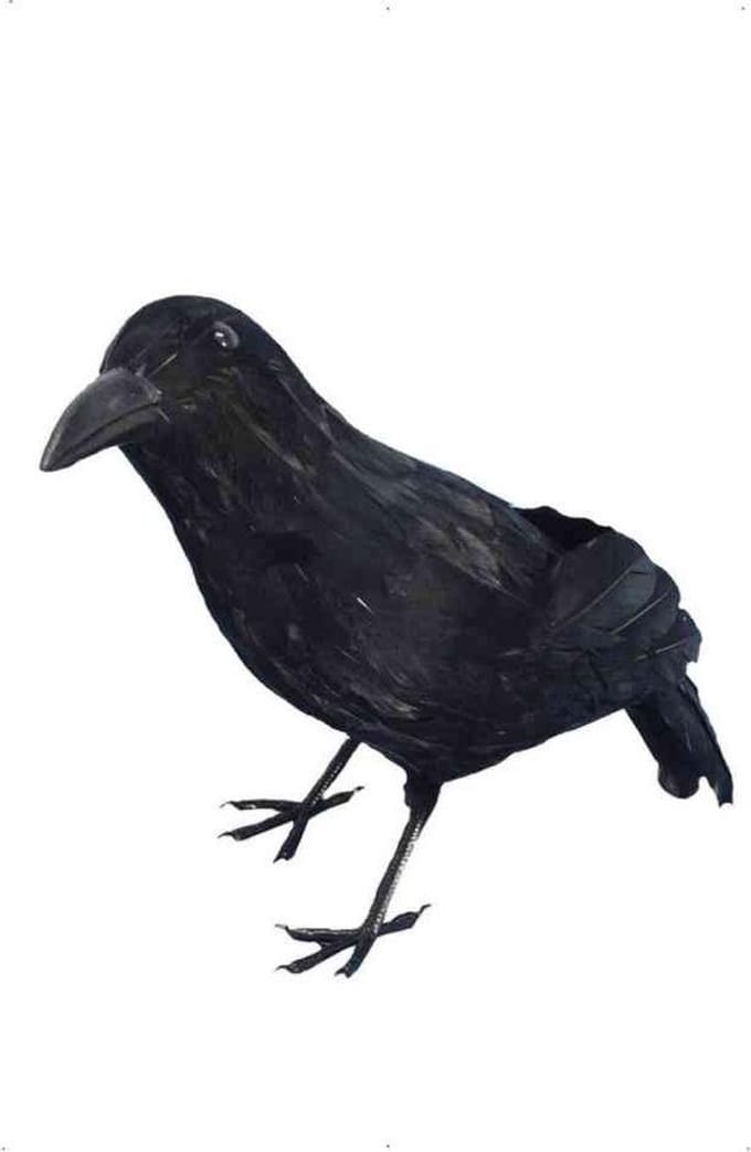 Dressing Up & Costumes | Costumes - Halloween - Crow