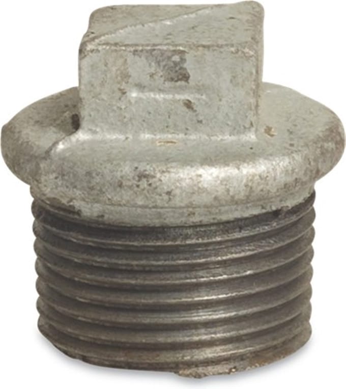 Plug 290 Met Rand 1Bu Verz