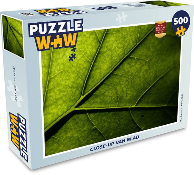 Puzzel Close-up van blad - Legpuzzel - Puzzel 500 stukjes
