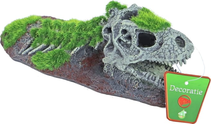 De Boon Dinosaurus skelet aquarium ornament | 21Ã—9 cm | schuilplek