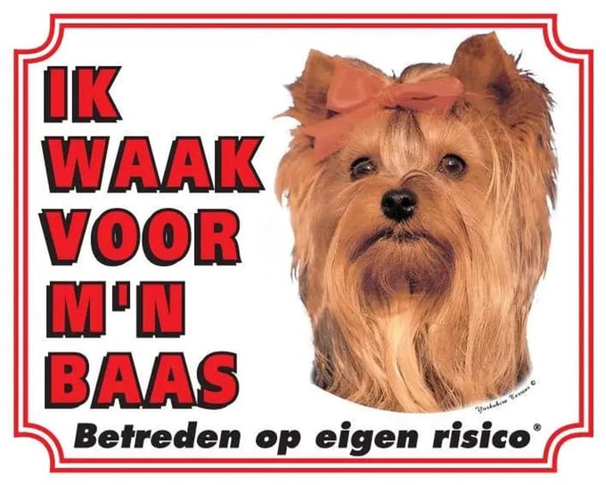 Yorkshire Terrier Waakbord - Ik waak voor mijn baas
