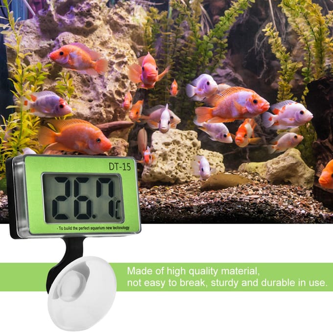 Thermomètre d'aquarium à grand écran numérique, outil de mesure de la température green