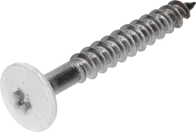Gevelplaatschroef RK torx 4,8x38 per 30 r.v.s. wit