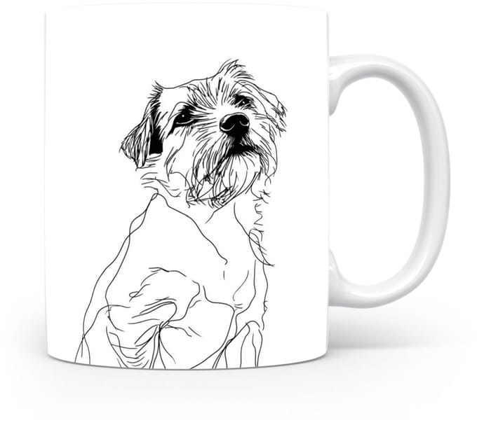 Beker Norfolk Terrier