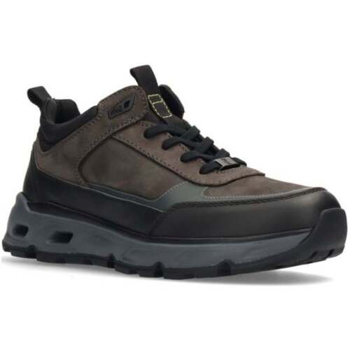 Lage Sneakers Salamander -