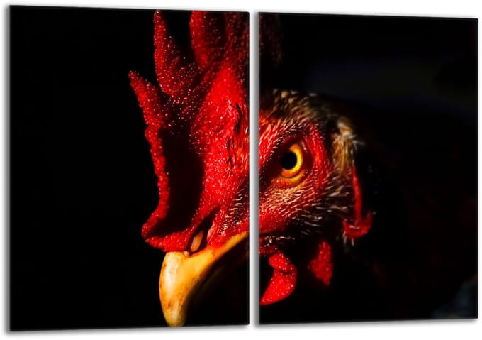 TMK ArtDeko - Beschermer voor Kookplaat - 40x52cm - Kogut