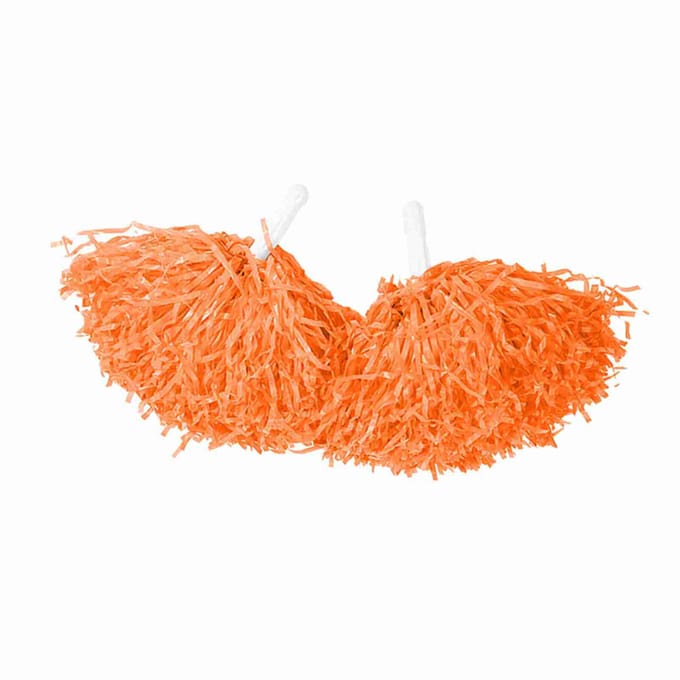 Cheerleader Pompons Team Cheer Sport Feest Dans Handige Accessoires (oranje)