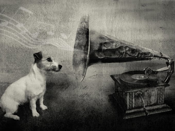 Fotobehang - Dog's melodies.