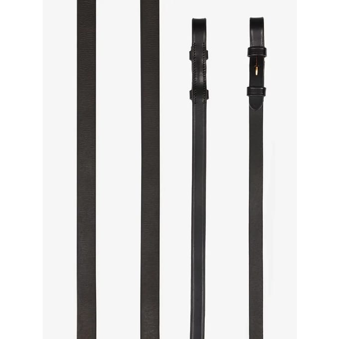 Lemieux Teugels Kris Extreme Bruin - paard
