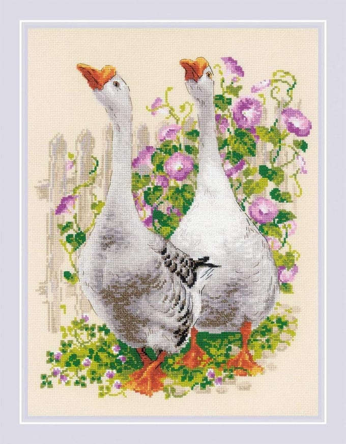 RIOLIS Geese borduren (pakket)