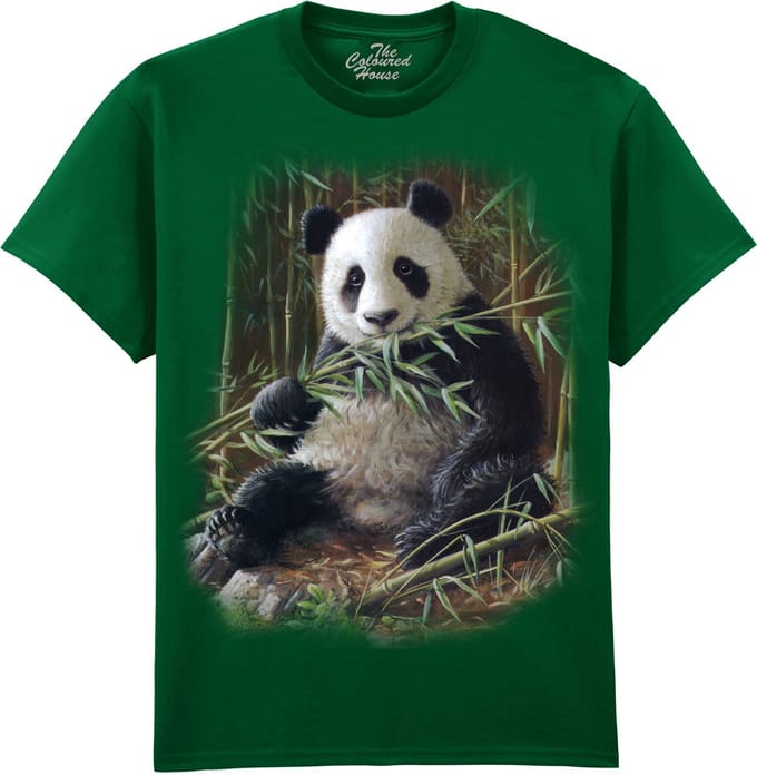 Bamboo Panda The Coloured House T-shirt XL