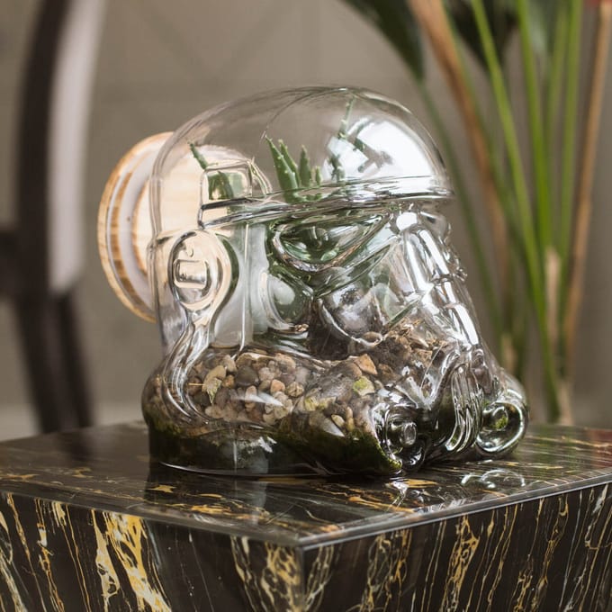 Star Wars Originele Stormtrooper Terrarium