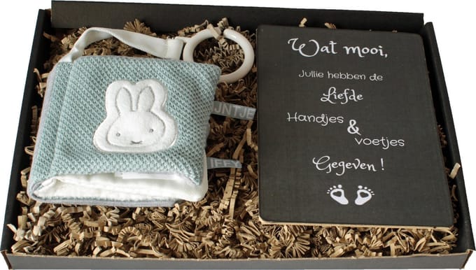 Brievenbuscadeau Nijntje green, Buggyboekje, houten tekstbord