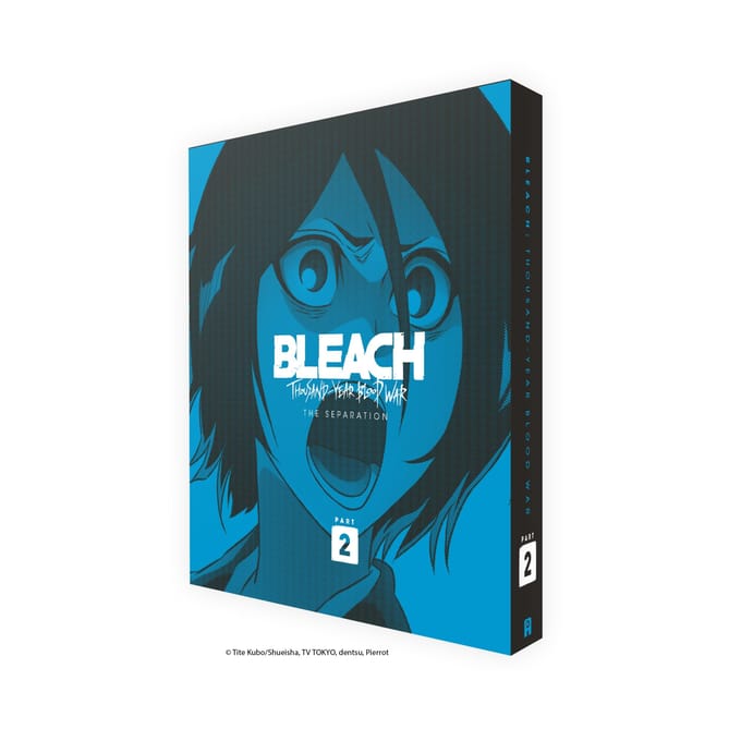 Bleach Thousand Year Blood War Part 2 Collector's Edition