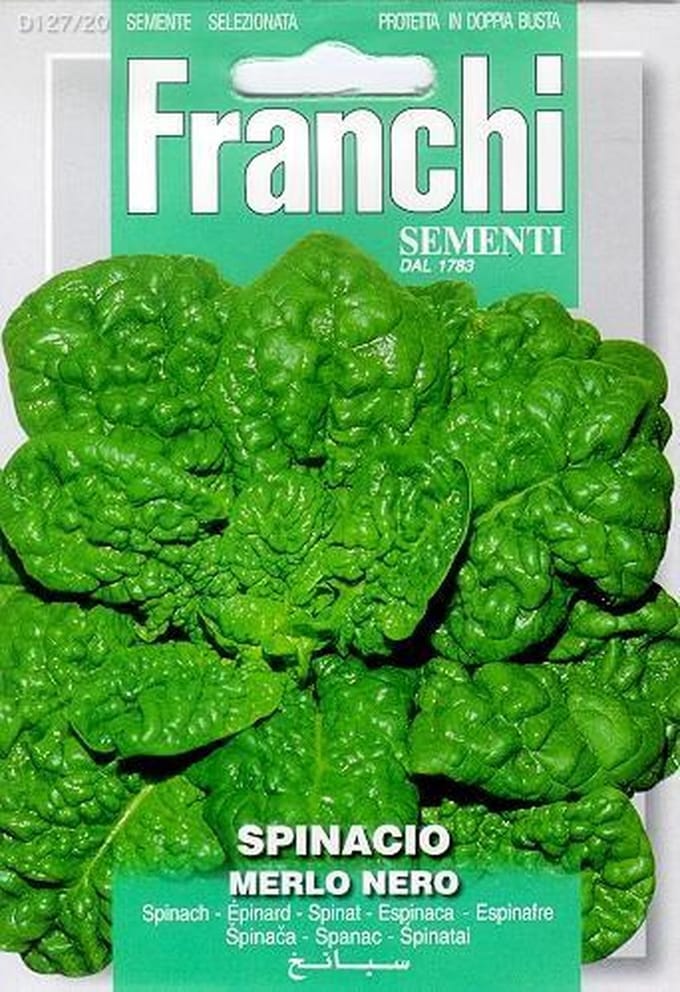 Franchi - Spinacio Merlo Nero - Spinazie Donkerbladig
