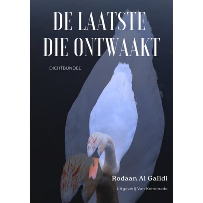 De Laatste Die Ontwaakt - Rodaan Al Galidi