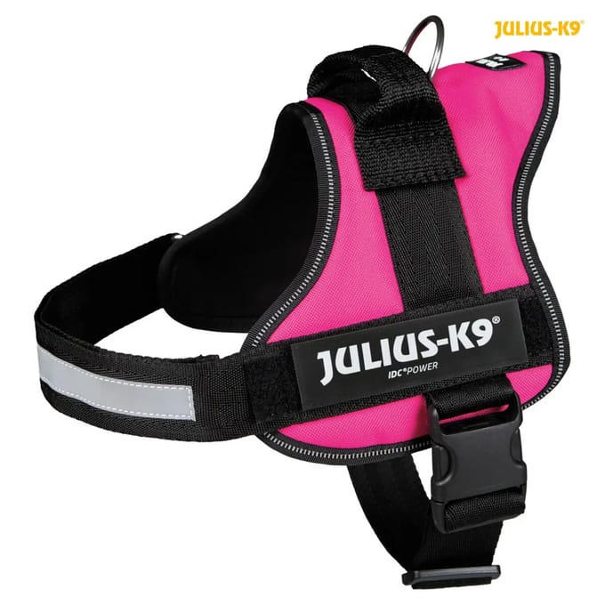 Julius K9 IDC Powertuig - Hondentuig - Maat 0 - M - Fuchsia