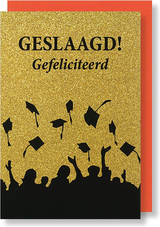 MGPcards - 6 Wenskaarten met gekleurde envelop - Geslaagd - Gefeliciteerd - 11,5 x 17 cm