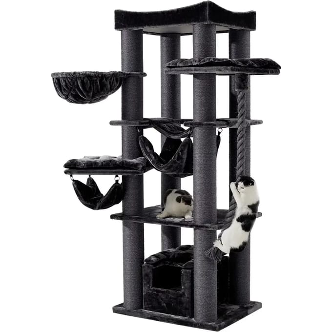Kattenboom Nobby Pet Rubi
