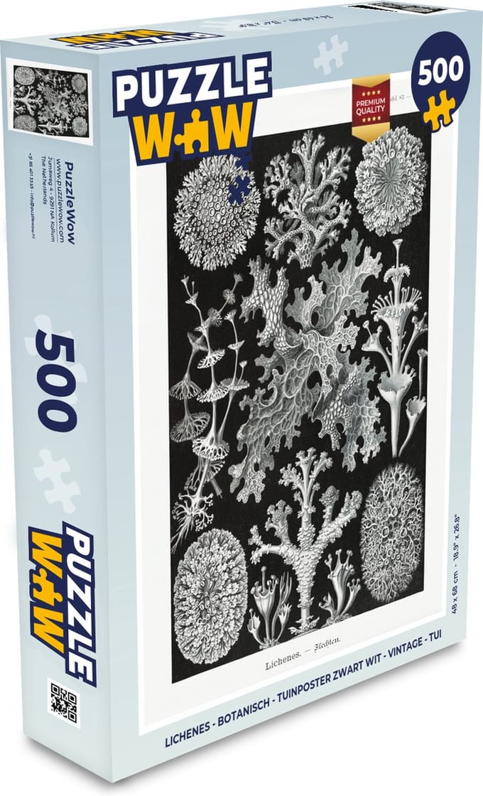 Puzzel Kunst - Koraal - Ernst Haeckel - Oude meesters - Natuur - Legpuzzel - Puzzel 500 stukjes