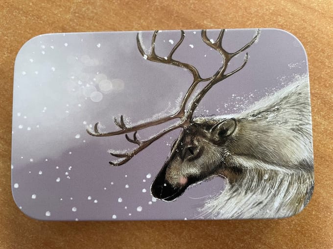 Alex Clark Rectangle Tin Christmas Reindeer ~ Langwerpig opbergblikje Rendier kerst winter