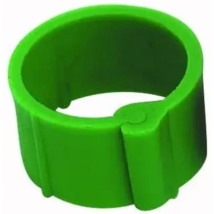 Klemring Chick'A (x25)