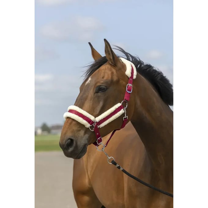 Schapenvacht nylon halster Equithème