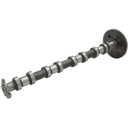 Nokkenas  FRECCIA CM05-2407