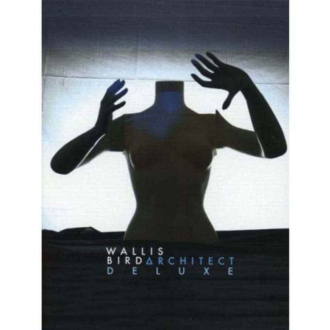 Architect - Wallis Bird