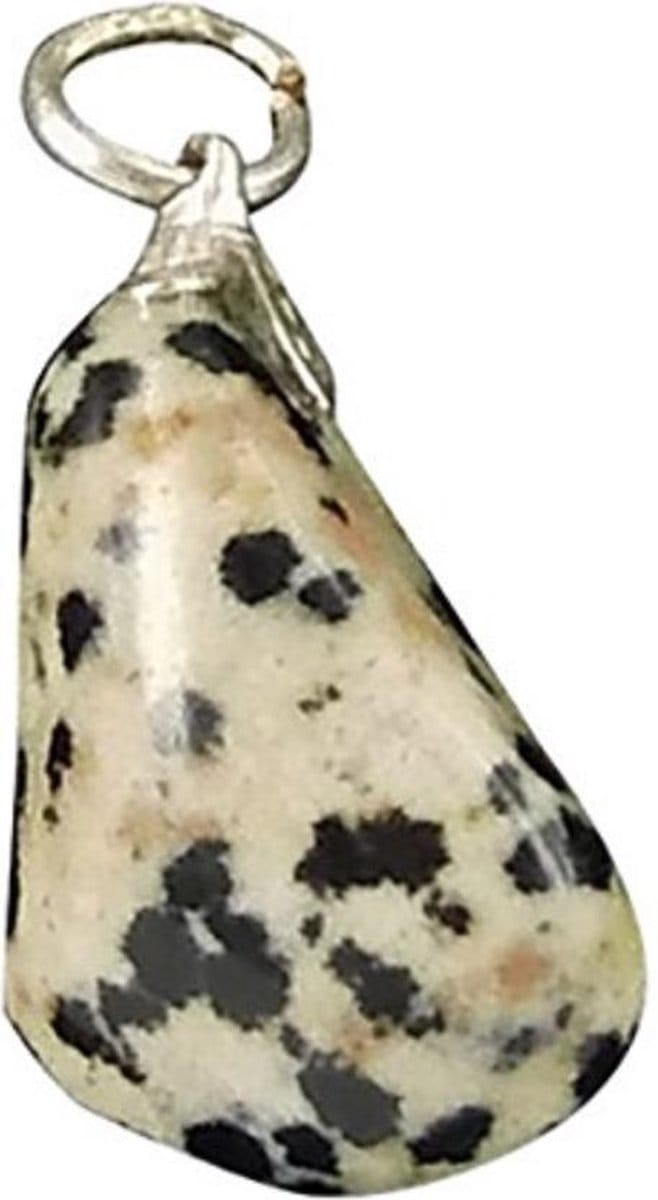 Jaspis dalmatiër edelsteen hanger