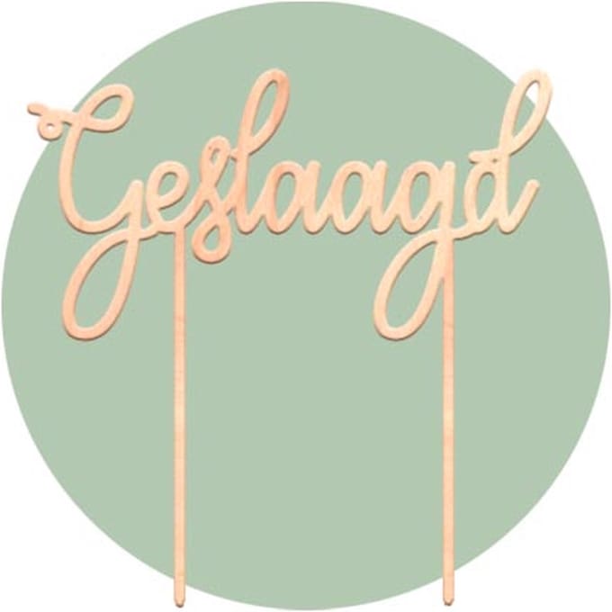 Taart topper - GESLAAGD - MooiHout - Taart steker