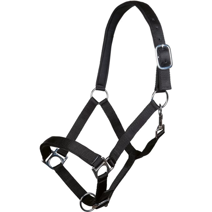 Halster voor paarden HKM Stars