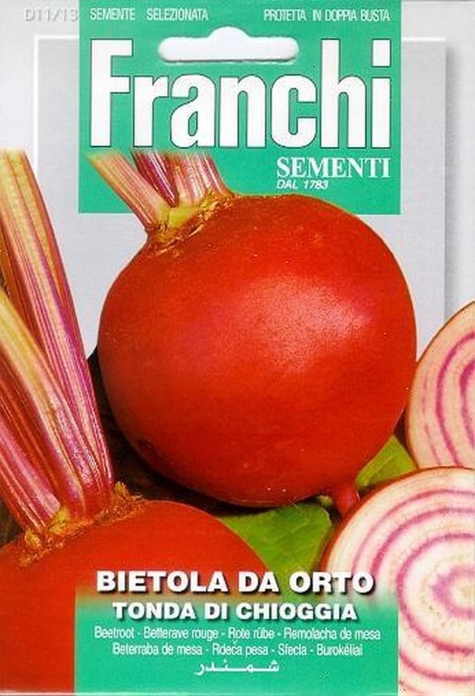 Fr Bietola Tonda Di Chioggia - Bieten/Kroten 11/13