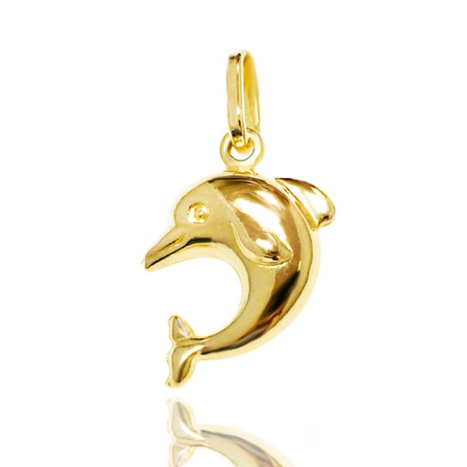 Juwelier Zwartevalk - 14 karaat gouden dolfijn hanger - 14.102.056