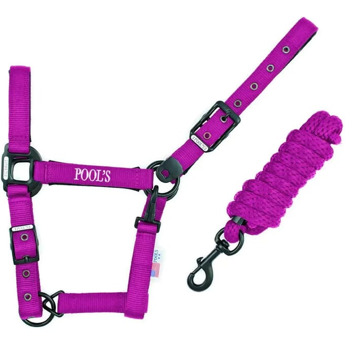 Nylon halster voor paard met leer Pool's