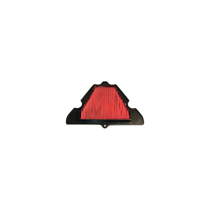 Motorfiets luchtfilter Emgo Z 1000 D,E,F HFA2920