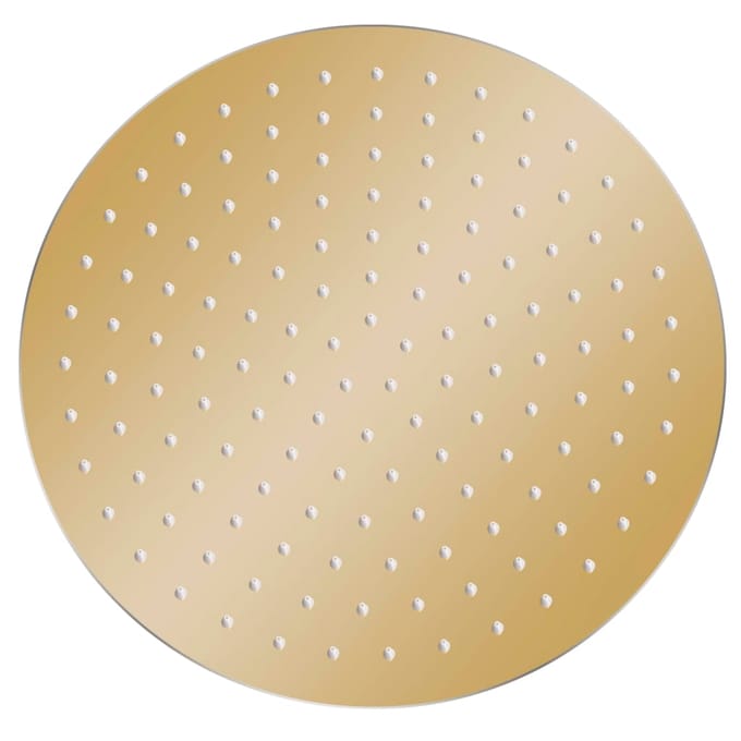 vidaXL - Regendouchekop - rond - 30 - cm - roestvrij - staal - goudkleurig