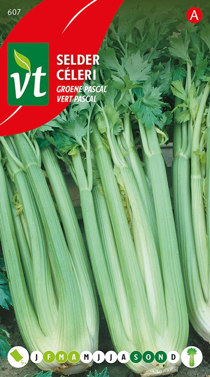 Selderij 'Groene Pascal' Zaden - Knapperige en Aromatische Stengels