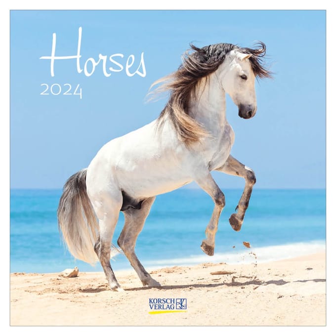 Paarden Kalender 2024