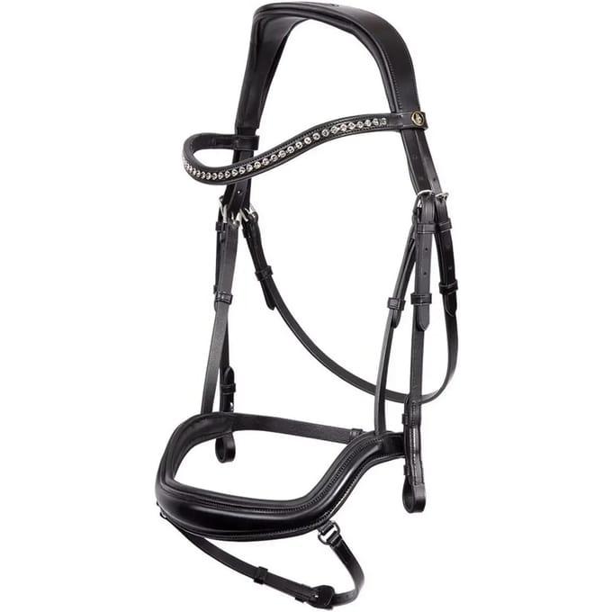 Anatomische hoofdstellen BR Equitation Stanley
